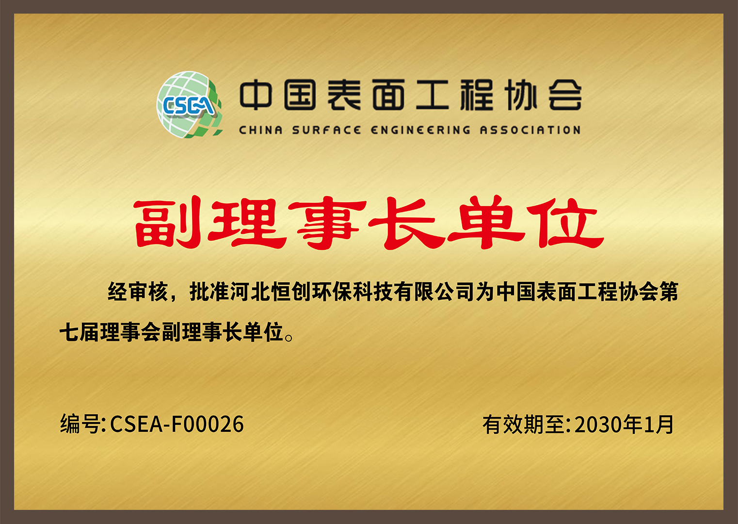 中国表面工程协会-副理事长